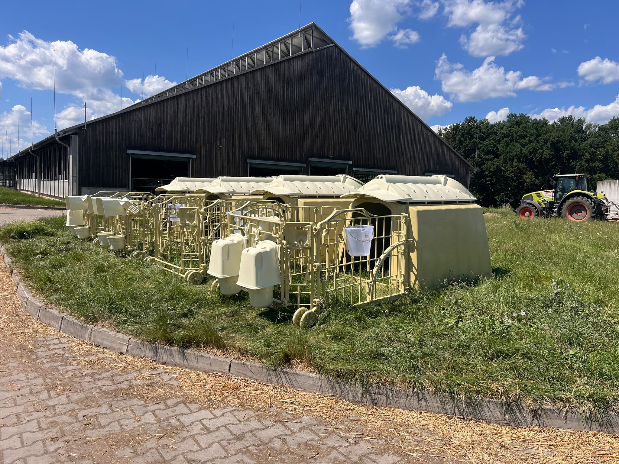 Rozšířená sestava Calfella na farmě
